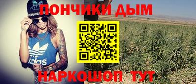 шишки Бийск