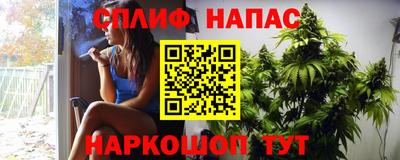 Альфа ПВП Беслан