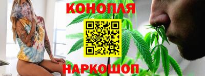 шишки Бийск