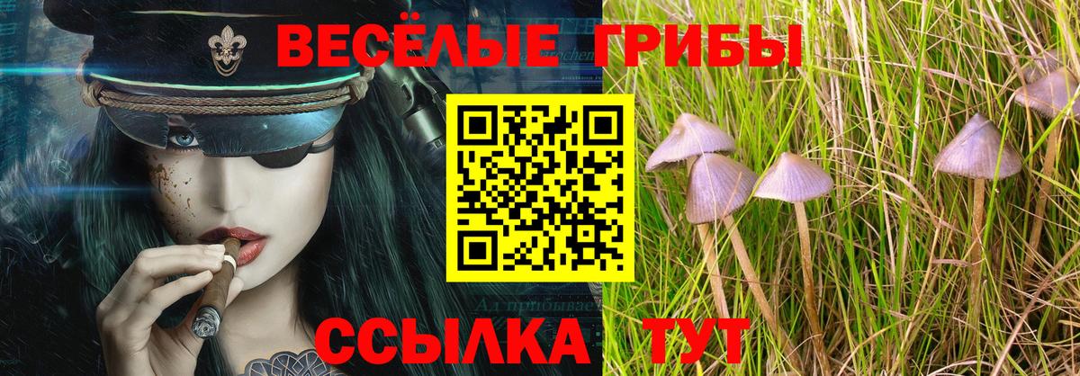 Галлюциногенные грибы MAGIC MUSHROOMS Кандалакша
