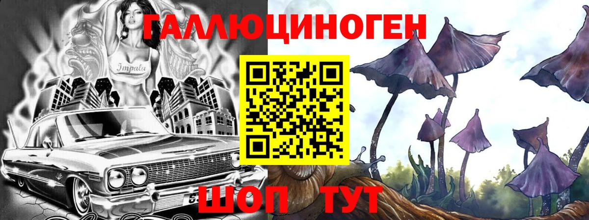Псилоцибиновые грибы Psilocybe  Вход с VPN  Псилоцибиновые грибы Psilocybine cubensis  Кандалакша 